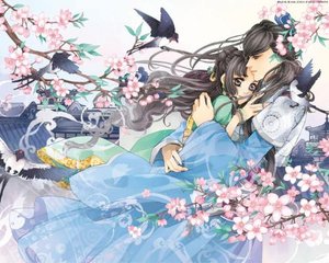 收藏10个以上域名不会丢失蜜芽